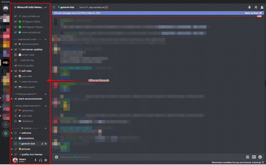 Discord Organization And Roles